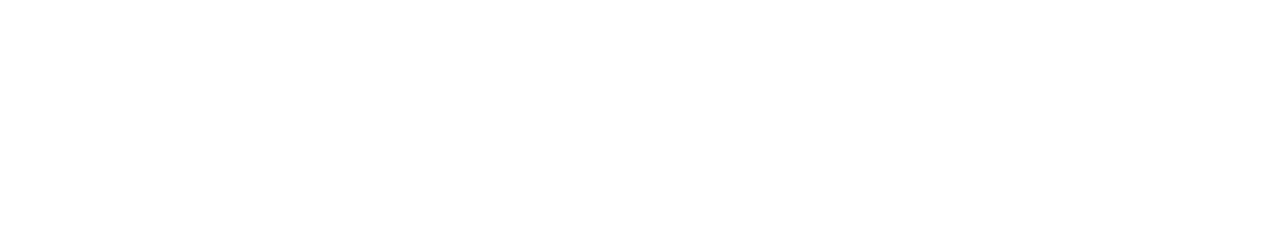 Pascual Bravo